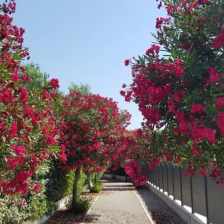 Albatros 40 M2, 2 Pieces Pres Cote D'azur, Piscine, Parking, Proche Du Golf St Donat Apartment